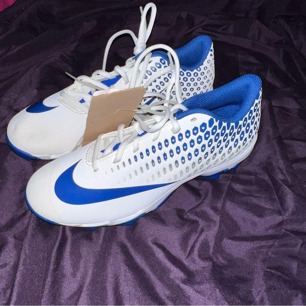 Nike Vapor Fastflex Blue/White